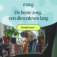 Speciaal voor onze Belgische Klanten een nieuwe samenwerking met Figopet.be Sluit uw verzekering af via onze website