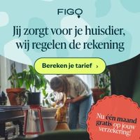 Speciaal voor onze Belgische Klanten een nieuwe samenwerking met Figopet.be Sluit uw verzekering af via onze website en ontvang 1 maand gratis op uw verzekering